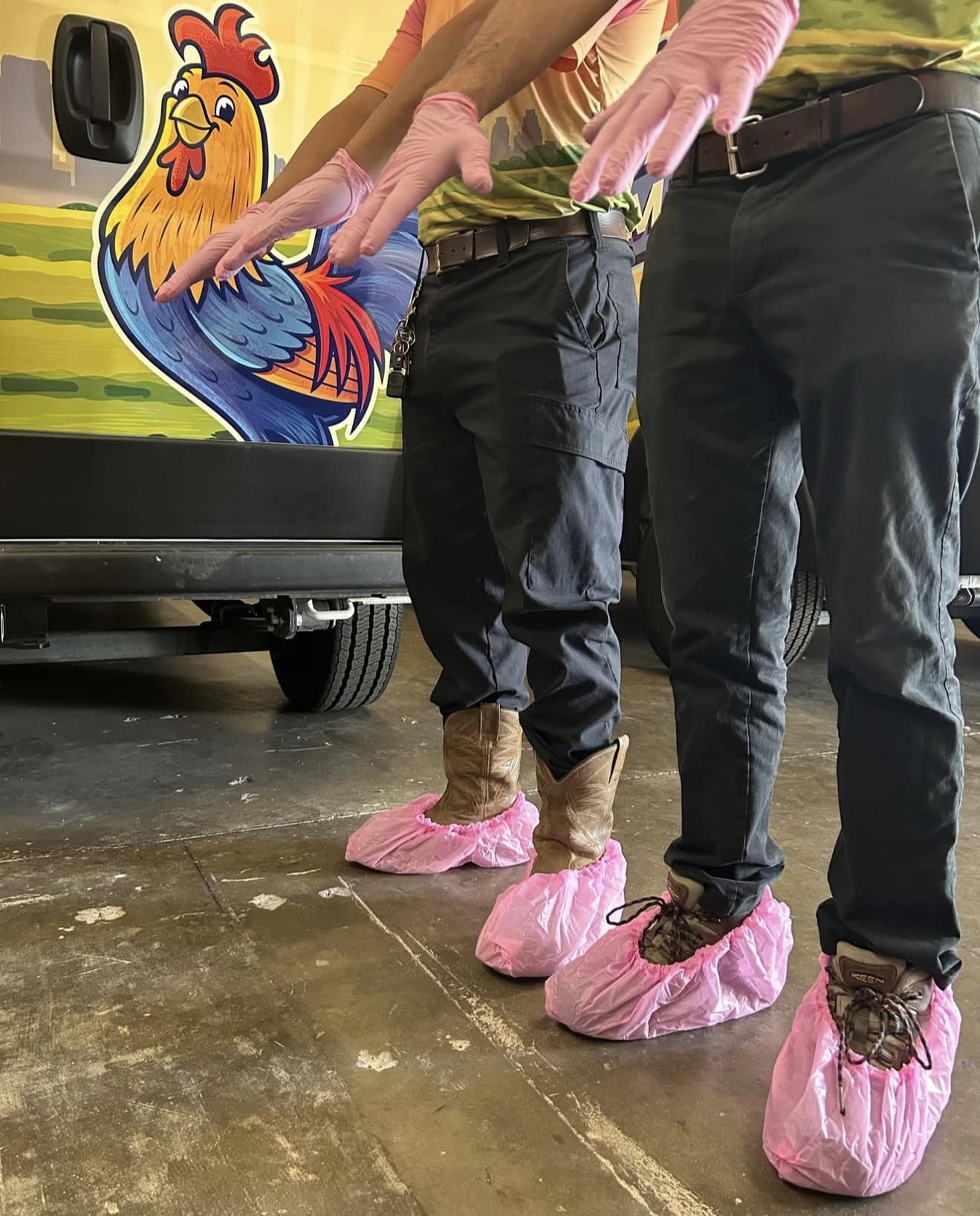 Dog wearing pink shoe covers for Covered For The Cause